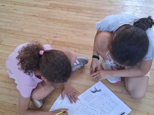 Concours des animaux CM1