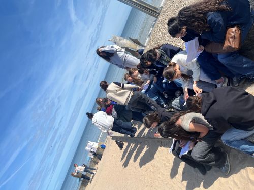 Plage du débarquement 2026.1