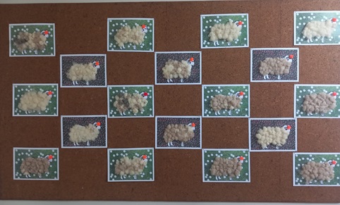 Mon beau mouton 10
