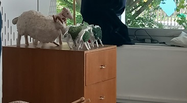 Mon beau mouton 4