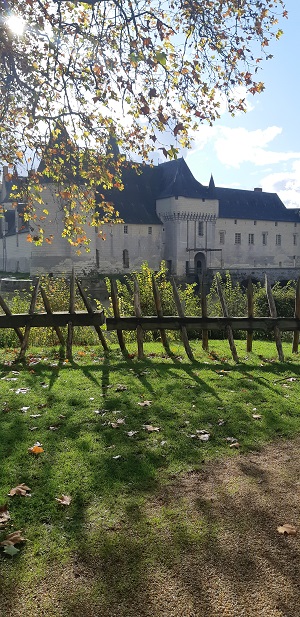 chateau de la Loire 2
