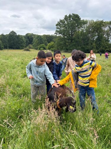 ferme juin 2026 CE2.10