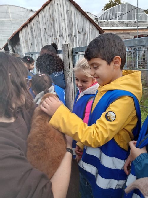visite à la ferme CP.6