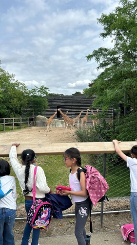 zoo CE1